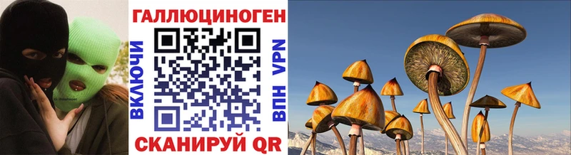 Псилоцибиновые грибы мицелий  продажа наркотиков  Красный Холм 